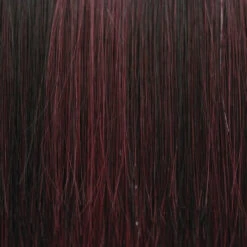 Picture Perfect Wig By TressAllure | Mono Top -Wig Discount Store 1 BURG 198f3df2 66a9 4191 8dd8 0a90d279f342