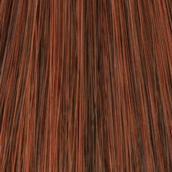 Cheers Wig By TressAllure | Mono Top | Heat-Friendly Synthetic -Wig Discount Store 33 30.jpg Dark Auburn Light Auburn Blend 14548589 8990 4282 bbdd 2e932fa01ac9