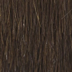 Glam Wig By TressAllure | Mono Top | Heat-Friendly Synthetic -Wig Discount Store 4 6R d51a3bdb c394 4726 a200 53a3d69ab45d