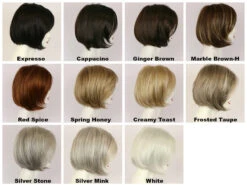 Alana Wig By Godiva Secret Wigs -Wig Discount Store Alana Capp 360 84301.1574928292