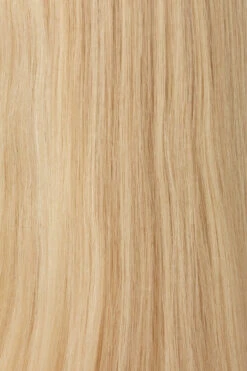 Princessa Wig By Raquel Welch -Wig Discount Store BL10 Palest Blonde 2d2612ed 238b 45b8 98c7 a64f329c79d3