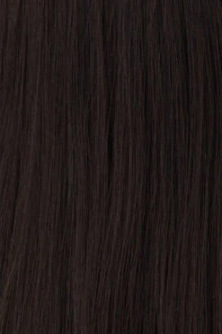 Princessa Wig By Raquel Welch -Wig Discount Store BL1 Darkest Brown 5162af94 d30e 4b14 931f 5e181b33c48b