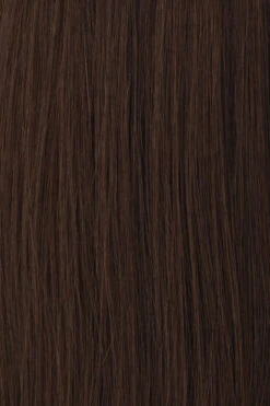 Princessa Wig By Raquel Welch -Wig Discount Store BL3 Chestnut Brown aa1232f5 1045 43f4 ad66 f25002fae429