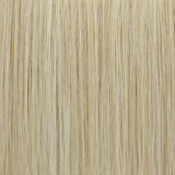 The Extension Hair Piece By TressAllure | Heat Friendly Synthetic -Wig Discount Store EX234 Dark Gold Blonde