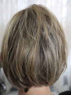 Fun By Ellen Wille | Heat-Friendly Synthetic Topper -Wig Discount Store Funback1copy