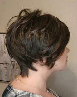 Heard It All Wig By Raquel Welch -Wig Discount Store HeardItAll1