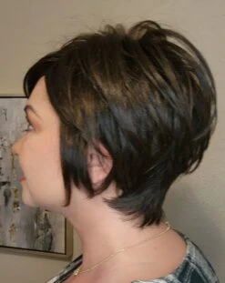 Heard It All Wig By Raquel Welch -Wig Discount Store HeardItAll3