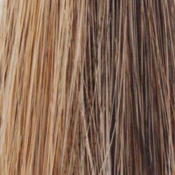 Charlotte Wig By TressAllure 41 Charlotte Wig By TressAllure -Wig Discount Store Mocha Gold ad8b04be 16a3 4bfc b29a 3b2d82766da5