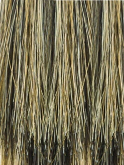 Sandie Wig By Noriko -Wig Discount Store Pecan Brown