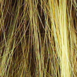 Sparkle Wig By Raquel Welch -Wig Discount Store R13F25 PRALINE FOIL e178301a d3c9 4f52 9e28 649329d3b52c