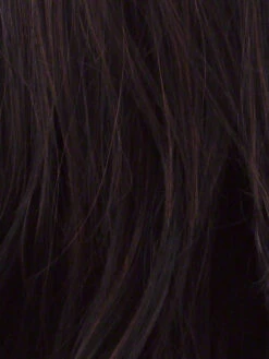 Long With Layers Wig By Hairdo -Wig Discount Store R435S GLAZED BLACK CHERRY Black Brown with Dark Aurburn Highlights