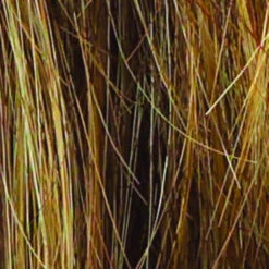 Sparkle Wig By Raquel Welch -Wig Discount Store R9F26 MOCHA FOIL 844a3ec7 7bf6 412b b787 587cb4bdccca