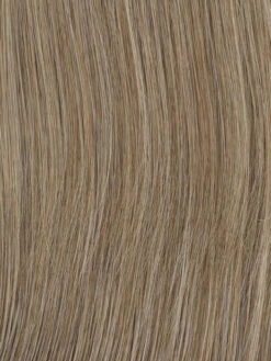 Made You Look Wig By Raquel Welch | Heat-Friendly Synthetic -Wig Discount Store RW Tru2Life Grays RL38Smoke 90adf35f e2f5 4a9c 8aba 85ae1695dc1f