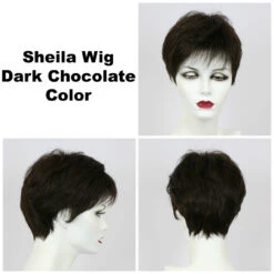 Sheila Large Wig By Godiva's Secret Wigs -Wig Discount Store Sheila Dk choc 52636.1458853214.1280.1280 1