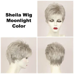 Sheila Petite Wig By Godiva's Secret Wigs -Wig Discount Store Sheila Moonlight 40395.1461181945.1280.1280