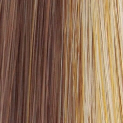 Blaze Wig By TressAllure | Mono Top -Wig Discount Store Sugar Brulee 38698402 cbcf 4070 b05b fd05fbc9d8a5