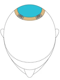 Top This 8" By Jon Renau | Remy Human Hair -Wig Discount Store TopThis placement b960d968 c827 4f91 987b 7c3fca639ddd