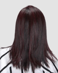 Picture Perfect Wig By TressAllure | Mono Top -Wig Discount Store TressAllure PicturePerfectBack 1B Burg