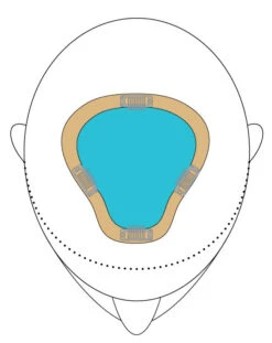 EasiPart XL 8" | Remy Human Hair -Wig Discount Store easiPartXL placement color