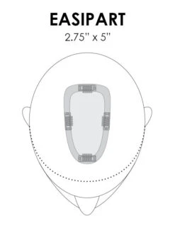 EasiPart Topper French 8" | Remy Human Hair | Renau Exclusive -Wig Discount Store easipart placement base dimension d57adbc8 a2b6 4adb 89c0 af9c4a7a275f