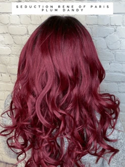 Seduction By Rene Of Paris -Wig Discount Store image00002 8e38ba73 cbe9 403e af15 5b7d56272d24